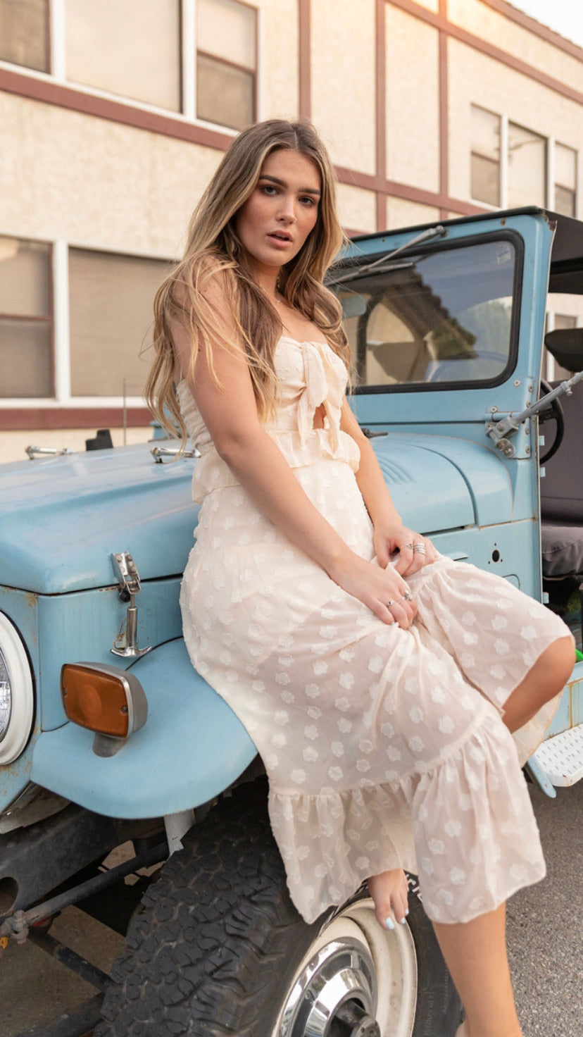 Shiloh Chiffon Dress
